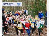 2019-01-06 ARWB Cross Oudenbosch - 097